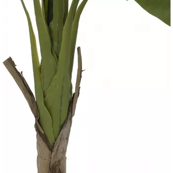 EUROPALMS bananträd konstgjord växt, 145 cm 82509504