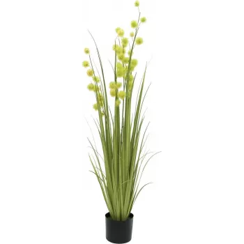 EUROPALMS pompomgräs konstgjord växt, 122 cm, grön 82500136
