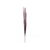 EUROPALMS Magic Onion Grass konstgjord växt, rosa, 134 cm 82532003