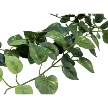 EUROPALMS Pothos buskhäck Classic, konstgjord, 70 cm (82502201)