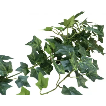 EUROPALMS konstgjord murgröna busk-insynsskydd Classic, 70 cm 82502208