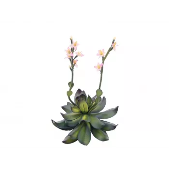 EUROPALMS Stone Rose (EVA) konstgjord växt, rosa, 32 cm 82530572
