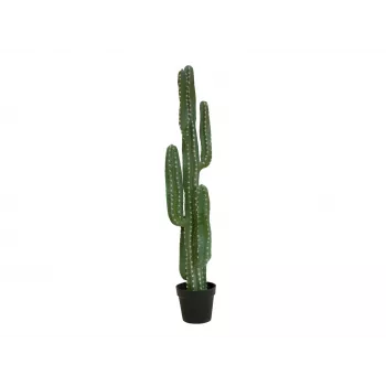 EUROPALMS mexikansk kaktus konstgjord växt, grön, 123 cm 82801072