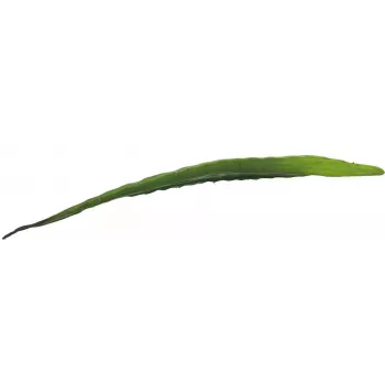 EUROPALMS konstgjort aloeblad (EVA), grönt, 60 cm 82530581