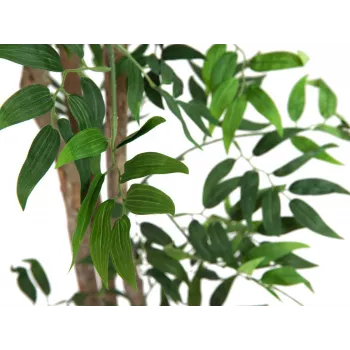 EUROPALMS Ficus Longifolia konstgjord växt, 165 cm 82506350