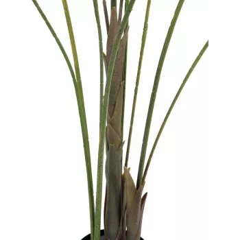 EUROPALMS storbladig areca konstgjord arecapalm, 185 cm (82509442)