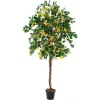 EUROPALMS bougainvillea konstgjord växt, gul, 180 cm 82507081