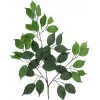 EUROPALMS konstgjord Ficus Benjamina-gren, 12-pack 82506101