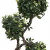 EUROPALMS Ficus Multi Spiral Trunk konstgjord växt, 160 cm 82501563