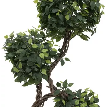 EUROPALMS Ficus Multi Spiral Trunk konstgjord växt, 160 cm 82501563