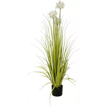 EUROPALMS Alliumgräs konstväxt, vit, 120 cm 82600169