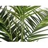 EUROPALMS Kentia-palm konstväxt 240cm 82511368