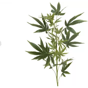 EUROPALMS konstgjord hampagren, 90cm, grön 82506699