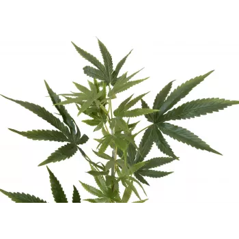 EUROPALMS konstgjord hampagren, 90cm, grön 82506699