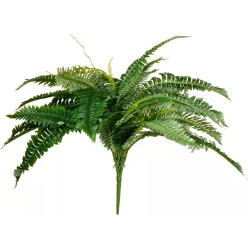 EUROPALMS Boston ormbunke konstväxt, 53 cm, grön 82519934