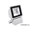 SYNERGY21 S21-LED-TOM01157 LED-utomhusstrålkastare 80W grått hölje kallvit V3