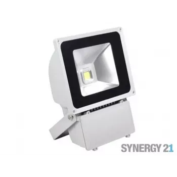 SYNERGY21 S21-LED-TOM01157 LED-utomhusstrålkastare 80W grått hölje kallvit V3