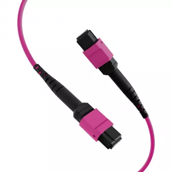 EFB MTP-F/MTP-F 36-fiber matrix patchkabel OM4, LSZH erika violett, typ A, 25 m MTPF36MTPFOM4-25-A