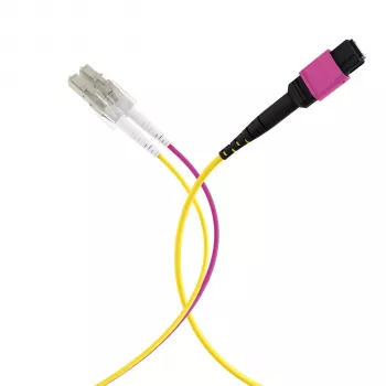 MPO-PLUS (F) till LC trunk-kabel OM4 12 fibrer Typ B LSZH erika violett 10 m MPOF12LCOM4-10