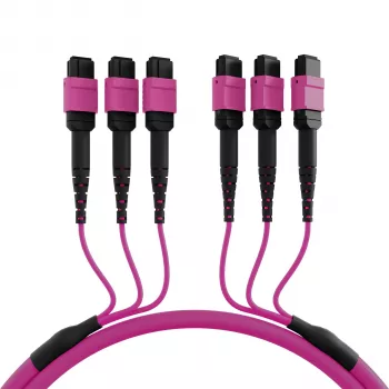 EFB Elektronik MTP-F/MTP-F 48-fiber matrix patchkabel OM4, LSZH erika violett, kod A, 25 m MTPF48MTPFOM4-25-A
