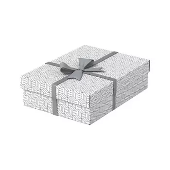 LEITZ Home M förvarings- och presentlådeset med 3, vit, 100% återvunnen wellpapp, avtagbart lock 628284
