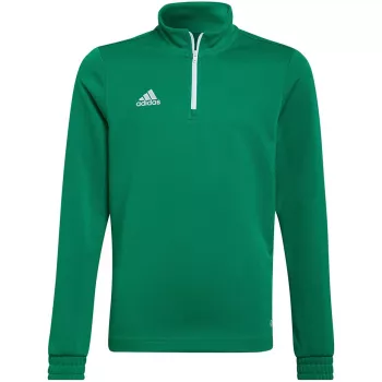 adidas Entrada 22 träningströja barn sweatshirt grön HI2132 152 cm