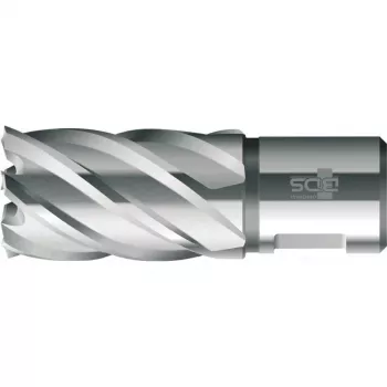BDS HSS standard 22,0 mm kärnborr med Weldon-fäste, 30 mm skärdjup (KBK-022)