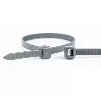 WKK grå polyamidbuntband 100 x 2,5 mm, 100-pack (11032871)