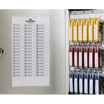 DURABLE KEY BOX 54 nyckelskåp med cylindriskt lås, ljusgrå, stål, väggmontage 195323