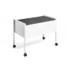 DURABLE hängmappsvagn ECONOMY DUO 100 A4, ljusgrå 308210