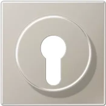 JUNG ES 2928 lock för nyckelbrytare med demonteringsskydd, serie LS, rostfritt stål