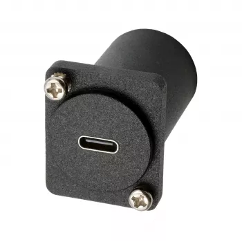 EXSYS EX-49172 D-typ adapter USB-C-uttag till DisplayPort-uttag
