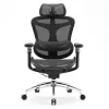 SIHOO DORO C300 Pro Mesh ergonomisk kontorsstol svart