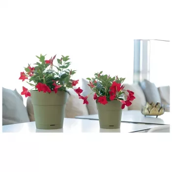 STEFANPLAST Blomkruka med fat Ethica Ø40x39 cm grön