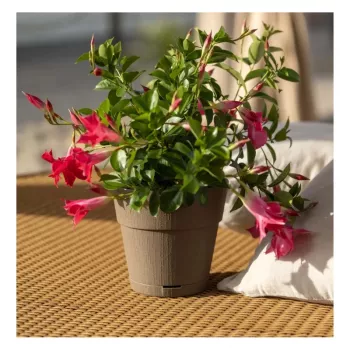 STEFANPLAST Ethica blomkruka med fat Ø20x19cm brun