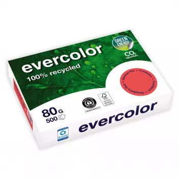 Clairefontaine EVERCOLOR 40259C A4 multifunktionspapper 80 g/m² vit 500 ark