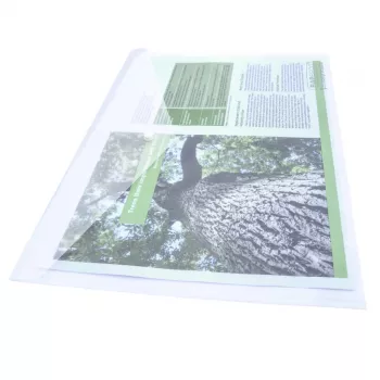 Rapesco ECO GRS A3 dokumentfickor transparent (10-pack) 1817