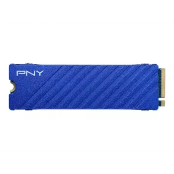 PNY CS2341 1 TB M.2 PCIe Gen4 NVMe SSD (M280CS2341PS5-1TB-RB)