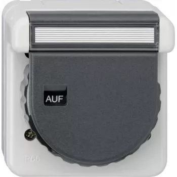 GIRA 444031 Schuko KD bajonett + Bsf WG uttag