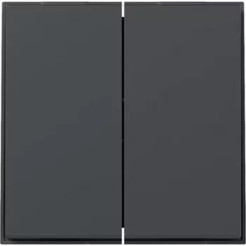 Gira TX44 vippa 2-fack rak, antracit, 349567