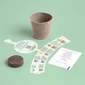 Resetea My First Crops – Basil Growing Set (Erst440)