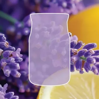 Yankee Candle Lemon Lavender ljus, medel
