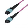 StarTech.com OM4MTP12BOFNP2M MTP/MPO-12 multimode fiberoptisk patchkabel (2 m)