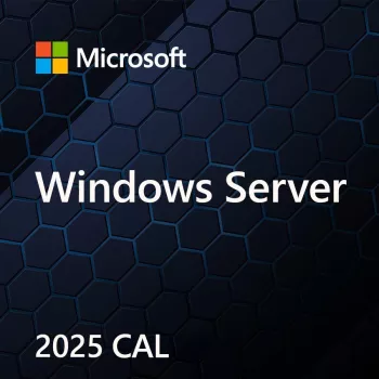 Microsoft Windows Server CAL 2025 Device, OEM, 1 klient (EP2-25232)