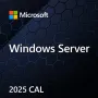 Microsoft Windows Server CAL 2025 Device, OEM, 1 klient (EP2-25232)