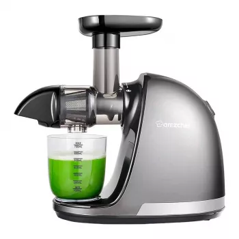 AMZCHEF 1501-GA långsam juicer (grå)